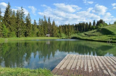 Купити ділянку, сільськогосподарського, Хащованя, Сколівський район, id 5140355