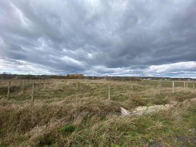 Buy a lot of land, for building, Д, Malinovka, Pustomitivskiy district, id 4716172