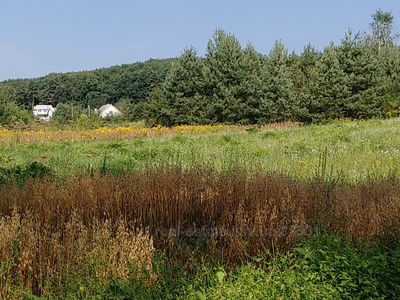 Купити ділянку, під забудову, Ямельня, Яворівський район, id 4847329