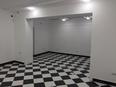 Commercial real estate for rent, Non-residential premises, Yefremova-S-akad-vul, Lviv, Frankivskiy district, id 2944879