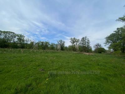 Buy a lot of land, Сагайдачного, Krasiv, Mikolajivskiy district, id 4840926