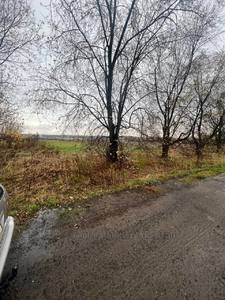 Buy a lot of land, for building, Sokilniki, Pustomitivskiy district, id 5086904