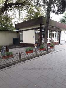 Commercial real estate for sale, Chornovola-V-prosp, Lviv, Shevchenkivskiy district, id 4656898