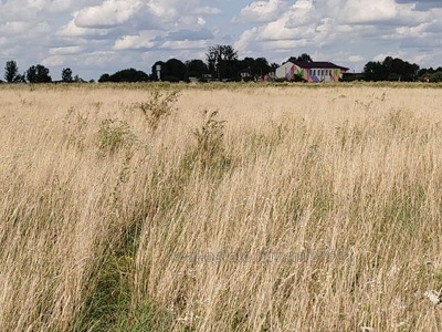 Купити ділянку, Підбірці, Пустомитівський район, id 4790309