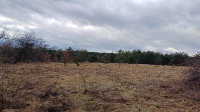 Buy a lot of land, for building, ожб, Derevach, Pustomitivskiy district, id 4804433