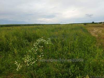 Buy a lot of land, for building, Polyanka, Pustomitivskiy district, id 5147723