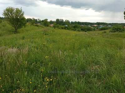 Buy a lot of land, agricultural, Kozhichi, Yavorivskiy district, id 4724728