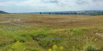 Buy a lot of land, agricultural, Zubra, Pustomitivskiy district, id 5014979