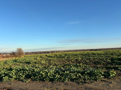 Купити ділянку, сільськогосподарського, Сокільники, Пустомитівський район, id 4910789