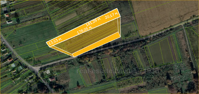 Buy a lot of land, agricultural, Мазепи, Miloshevichi, Pustomitivskiy district, id 4619775