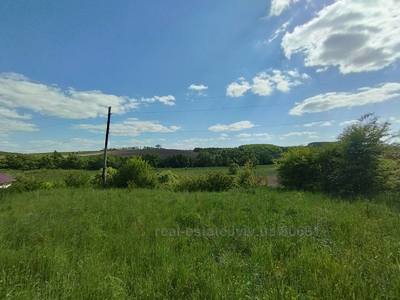 Buy a lot of land, for building, Затишна, Zubra, Pustomitivskiy district, id 4578768