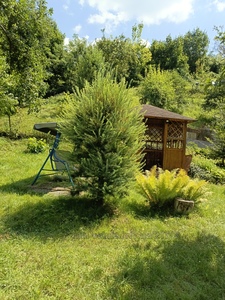 Купити будинок, Особняк, Липківського В. митр. вул., Львів, Личаківський район, id 4858173