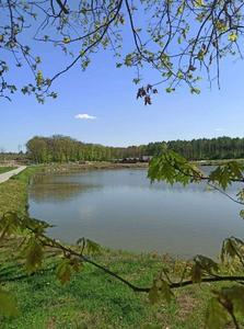 Купити ділянку, сільськогосподарського, Шевченка, Дрогобич, Дрогобицький район, id 4818649