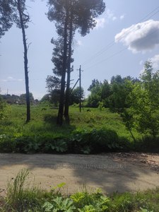 Buy a lot of land, в лісосмузі, Ivano Frankovo, Yavorivskiy district, id 4858855