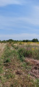 Buy a lot of land, for building, Lisinichi, Pustomitivskiy district, id 5154294