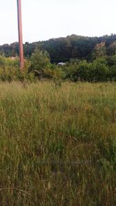 Buy a lot of land, for building, Центральна, Kozhichi, Yavorivskiy district, id 4721485