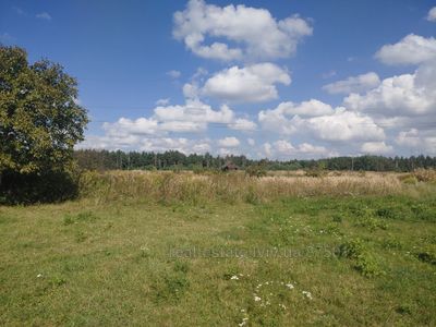 Buy a lot of land, Lukasevicha-I-vul, Lviv, Shevchenkivskiy district, id 4860547