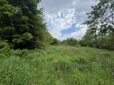 Buy a lot of land, Д, Kovyary, Pustomitivskiy district, id 4790260