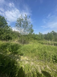 Buy a lot of land, Bryukhovichi, Lvivska_miskrada district, id 5017630