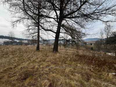 Buy a lot of land, Slavsko, Skolivskiy district, id 5028960