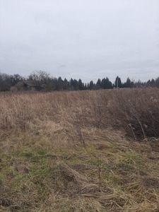 Buy a lot of land, agricultural, Basovka, Pustomitivskiy district, id 5118879