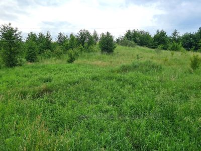 Buy a lot of land, for building, Volica, Pustomitivskiy district, id 4510256