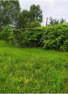 Buy a lot of land, gardening, Rechichani, Gorodockiy district, id 4676647