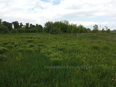 Buy a lot of land, for building, Rudne, Lvivska_miskrada district, id 4724726