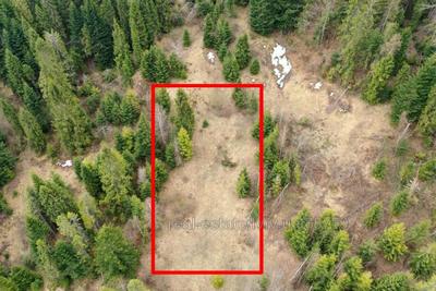 Buy a lot of land, gardening, Під Митою, Oryavchik, Skolivskiy district, id 4798353