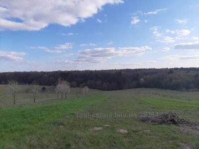 Купити ділянку, сільськогосподарського, пай, Підсадки, Пустомитівський район, id 4833545