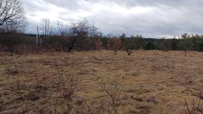 Buy a lot of land, for building, ожб, Palanki, Yavorivskiy district, id 5023937