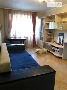 Rent an apartment, Czekh, Pasichna-vul, Lviv, Lichakivskiy district, id 4630011