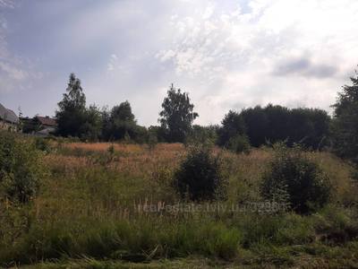Buy a lot of land, for building, гірка, Basovka, Pustomitivskiy district, id 4680661
