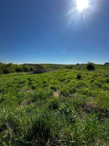 Buy a lot of land, for building, Malechkovichi, Pustomitivskiy district, id 4681489