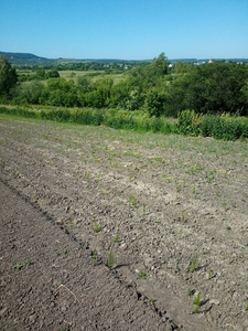 Купить участок, Степана Бандери, Коцуров, Пустомытовский район, id 4864684