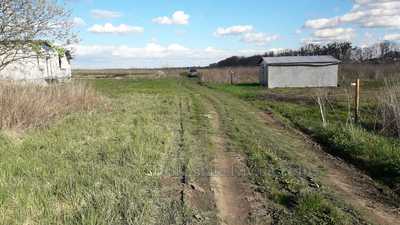 Buy a lot of land, Шевченка, Malye Podleski, Zhovkivskiy district, id 4795390