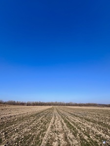 Купити ділянку, сільськогосподарського, Шевченка Т. вул., Львів, Шевченківський район, id 5130172