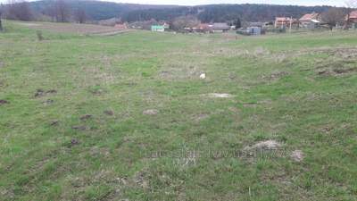 Buy a lot of land, agricultural, джерело, Rakovec, Pustomitivskiy district, id 4622438