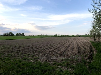 Buy a lot of land, agricultural, Birki, Yavorivskiy district, id 4811456