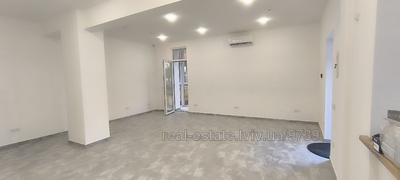 Commercial real estate for rent, Lipinskogo-V-vul, Lviv, Shevchenkivskiy district, id 5013687