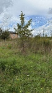 Buy a lot of land, Злагоди, Ryasne-Rus'ke, Lvivska_miskrada district, id 4944084