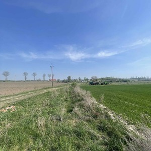 Buy a lot of land, agricultural, Brodki, Mikolajivskiy district, id 4972733