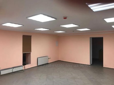 Commercial real estate for rent, Naukova-vul, Lviv, Frankivskiy district, id 4946023