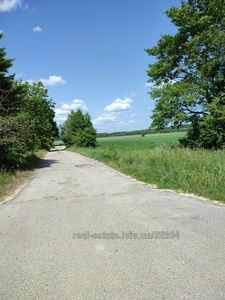 Buy a lot of land, комерція, Pidryasnoe, Yavorivskiy district, id 5009151