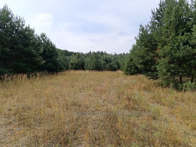 Buy a lot of land, Lelekhovka, Yavorivskiy district, id 4859871