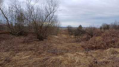 Buy a lot of land, Sokilniki, Pustomitivskiy district, id 4858776