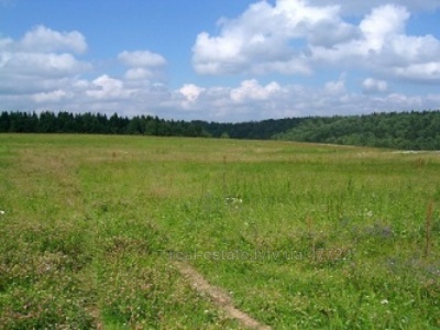 Buy a lot of land, Ugri, Gorodockiy district, id 4802500