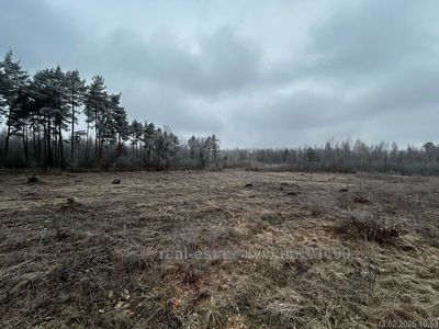 Buy a lot of land, Ryasne-Rus'ke, Lvivska_miskrada district, id 5108127