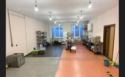 Commercial real estate for rent, Khmelnickogo-B-vul, Lviv, Shevchenkivskiy district, id 4874097