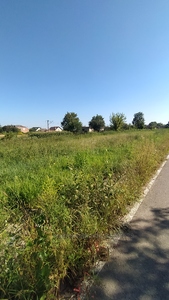 Buy a lot of land, for building, Січових стрільців, Murovanoe, Pustomitivskiy district, id 4820813